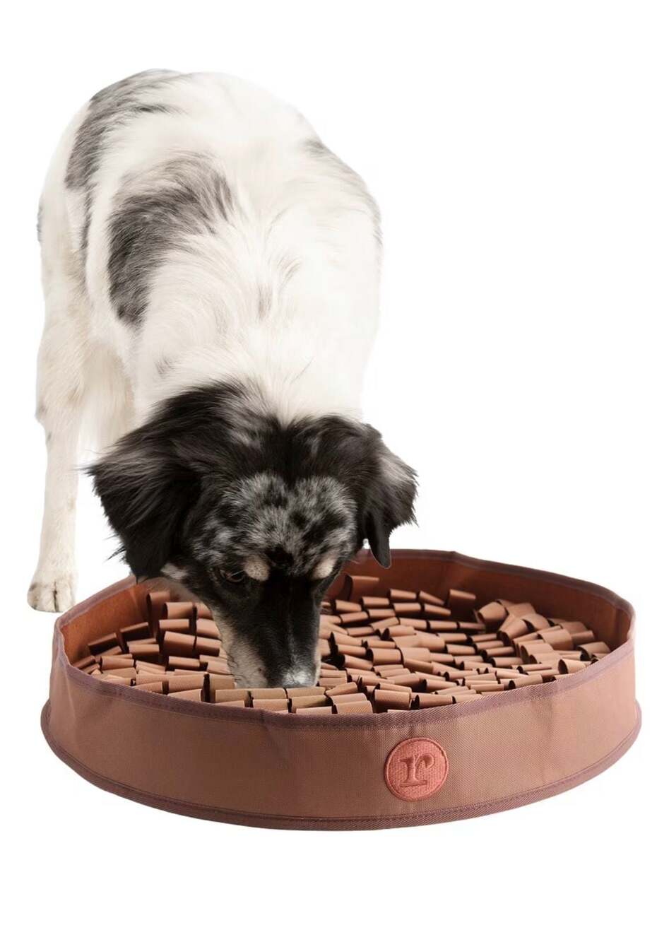 Reggie Snuffle Mat & Slow Feeding Enrichment Bowl for Dogs, 20-in, Bark Brown